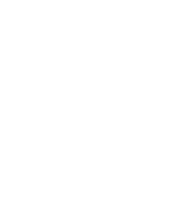 The Scout Guide